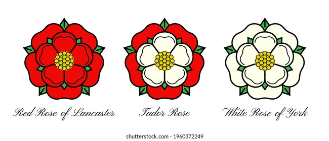 The formation of the Tudor rose
