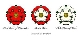The formation of the Tudor rose